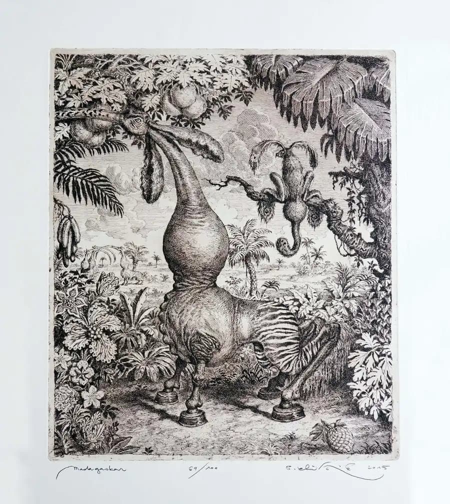 Madagaskar
